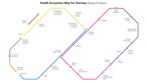 Rykjavik Health Ecosystem Mapping