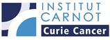 Institut Carnot_Curie Cancer logo